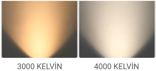 6 W Slim Magnet Ray Spot Aydınlatma 48V